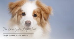 Read more about the article Hair Pigmentation in Dogs : Don’t Judge a Dog by Its Coat, Unveiling the Colorful Secrets of Hair Pigmentation