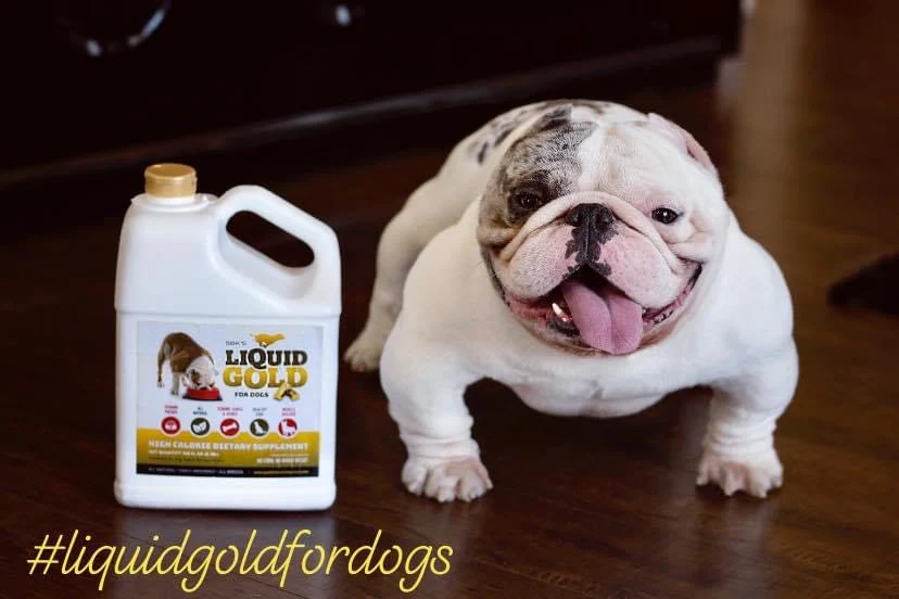 SBK’S LIQUID GOLD FOR DOGS High Calorie Dietary Supplement- 32 oz